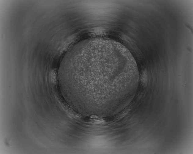 X0000103240715200809111556