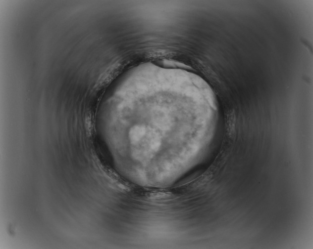 X0000103240716200809111556