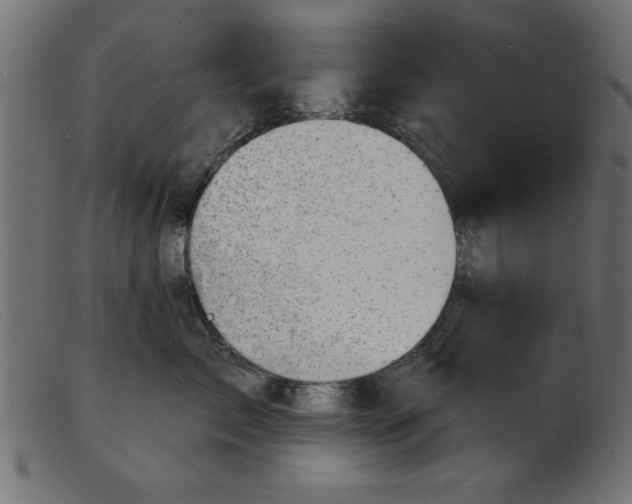 X0000103240717200809111556