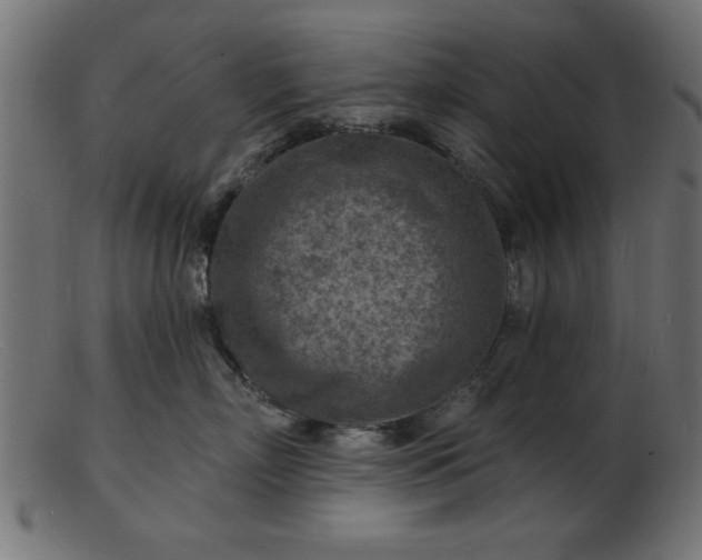 X0000103240718200809111556