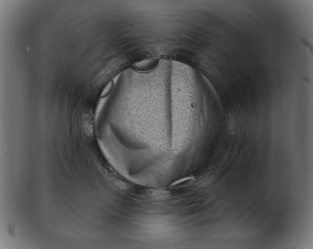 X0000103240719200809111556