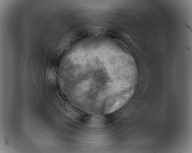 X0000103240720200809111556