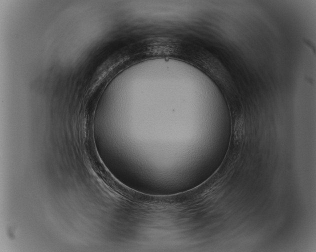 X0000103240722200809111556