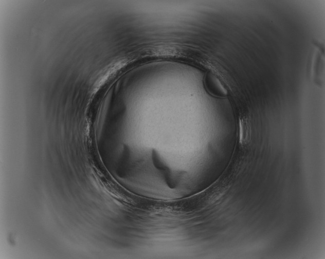 X0000103240723200809111556