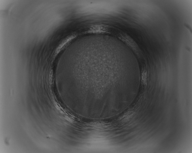 X0000103240724200809111556