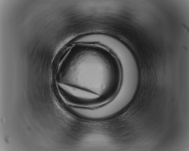 X0000103240726200809111556