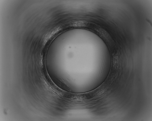 X0000103240727200809111556