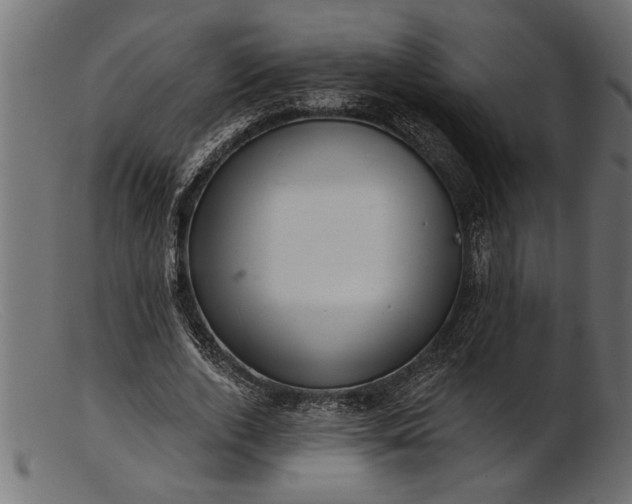 X0000103240728200809111556