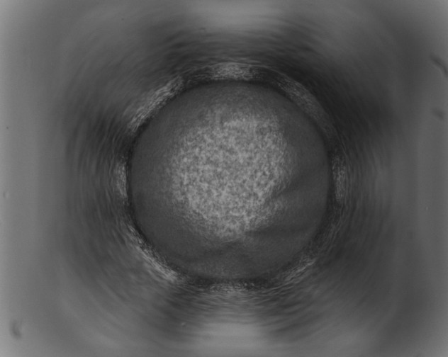 X0000103240729200809111556