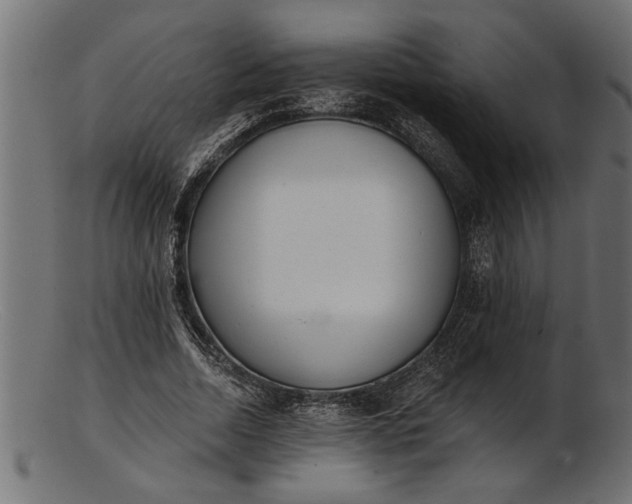 X0000103240730200809111556