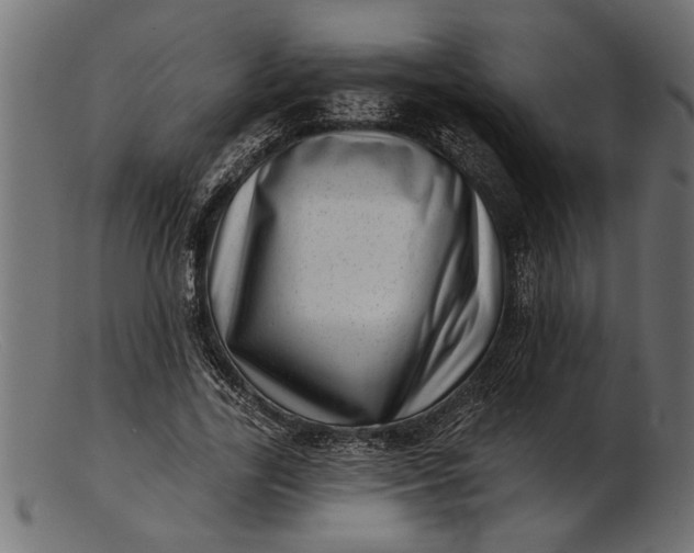 X0000103240731200809111556