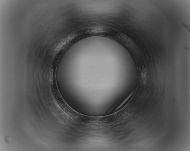 X0000103240732200809111556