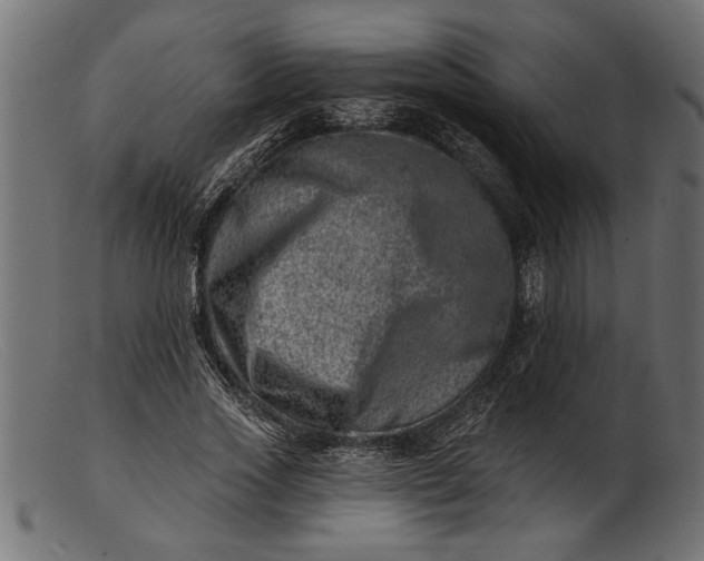 X0000103240733200809111556