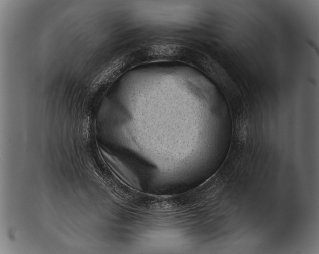 X0000103240735200809111556