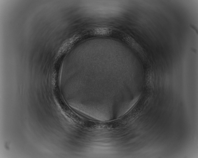 X0000103240736200809111556