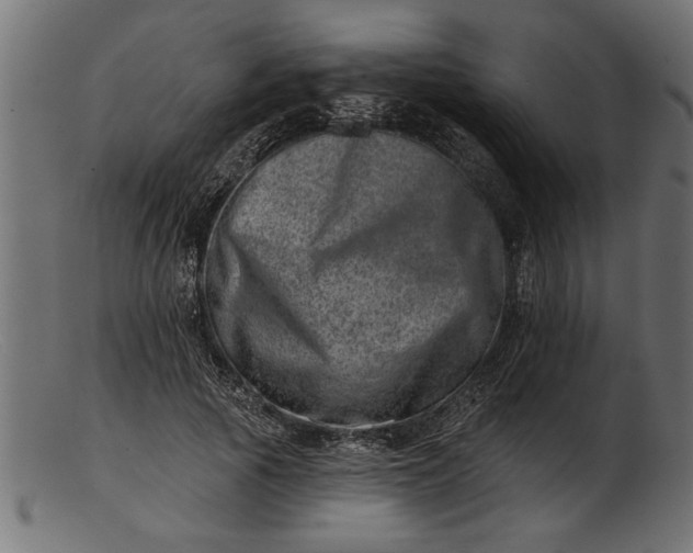 X0000103240737200809111556