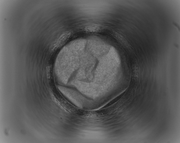 X0000103240738200809111556