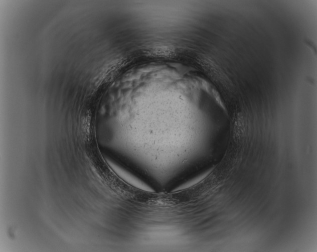 X0000103240739200809111556