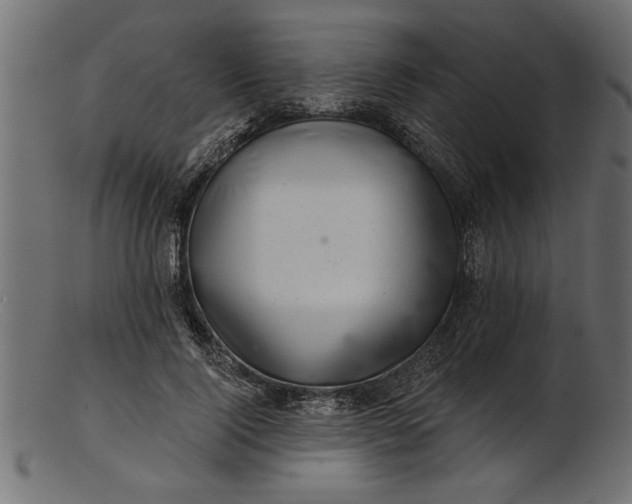 X0000103240740200809111556