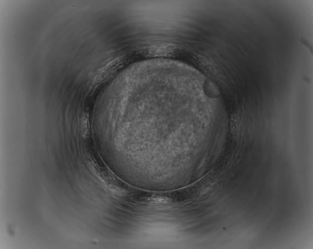 X0000103240741200809111556