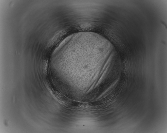 X0000103240742200809111556