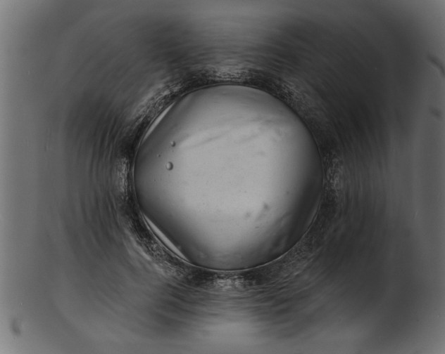 X0000103240744200809111556