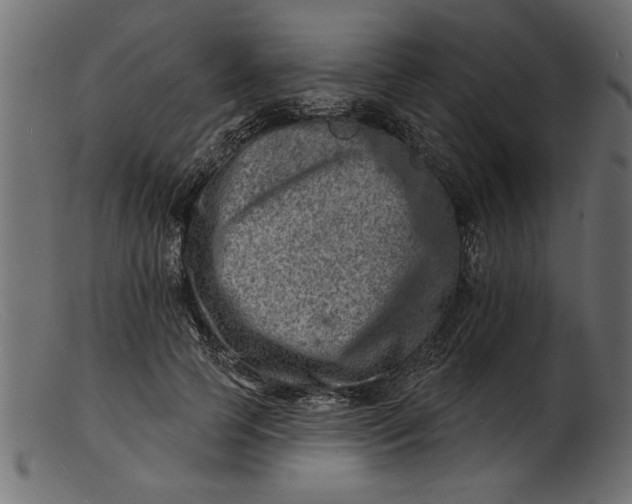 X0000103240745200809111556