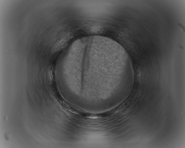 X0000103240746200809111556