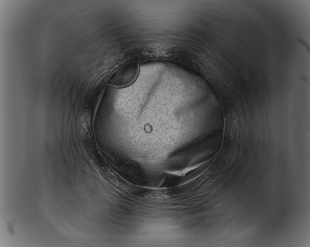 X0000103240747200809111556