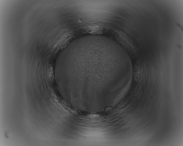 X0000103240748200809111556