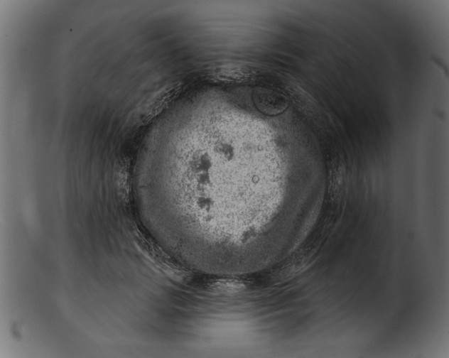 X0000103240749200809111556