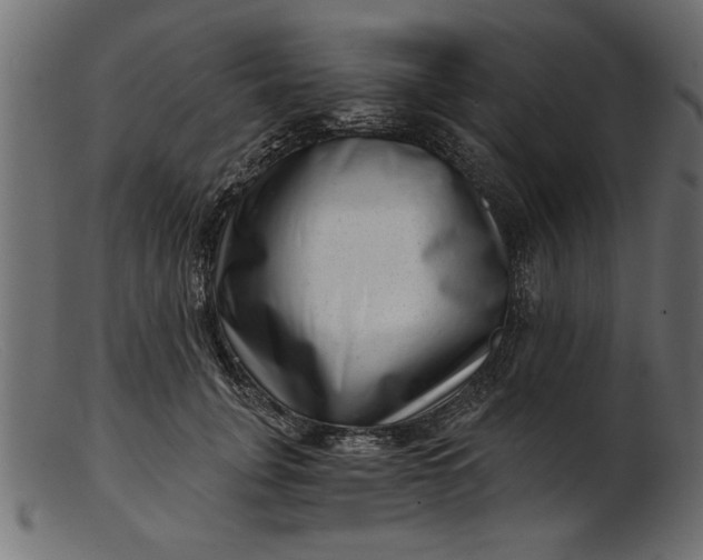 X0000103240751200809111556