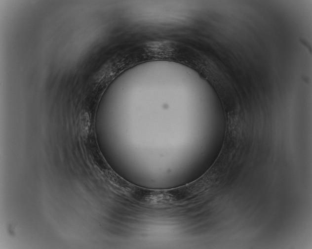 X0000103240752200809111556