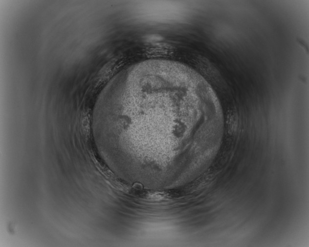 X0000103240753200809111556