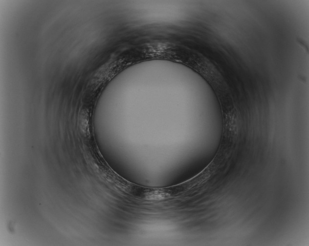 X0000103240754200809111556