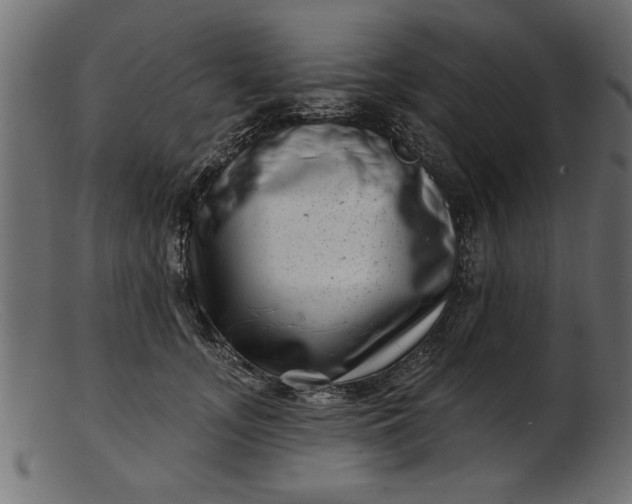 X0000103240755200809111556