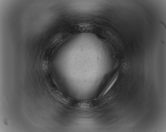 X0000103240756200809111556