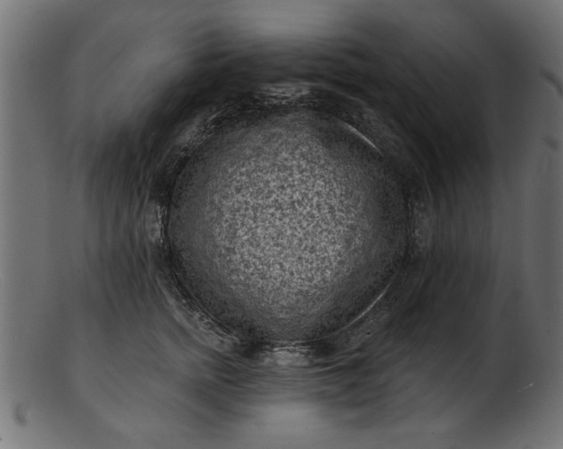 X0000103240758200809111556