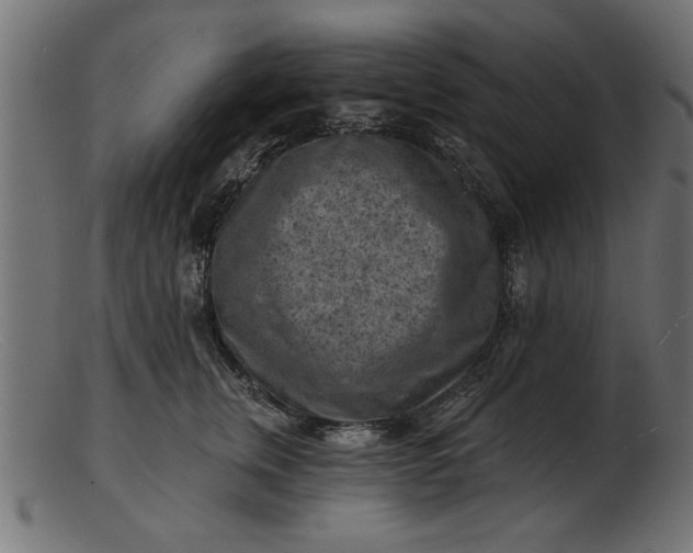 X0000103240759200809111556