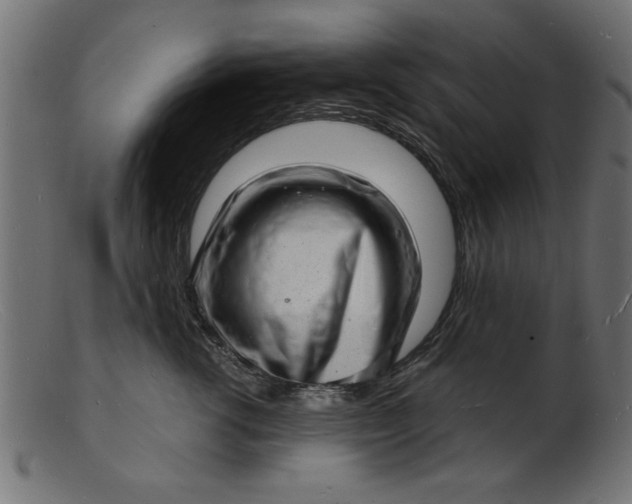 X0000103240762200809111556