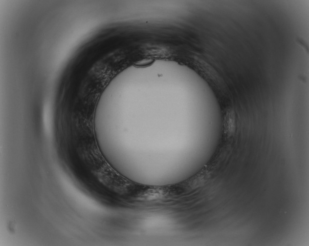 X0000103240764200809111556