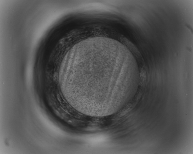 X0000103240765200809111556