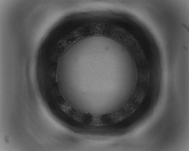 X0000103240766200809111556