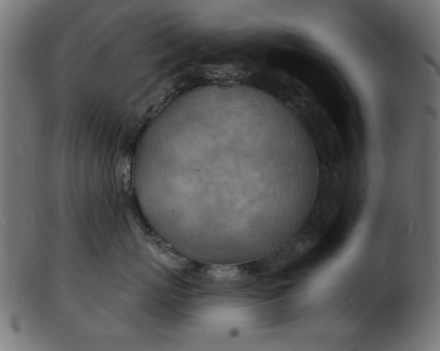 X0000103240767200809111556