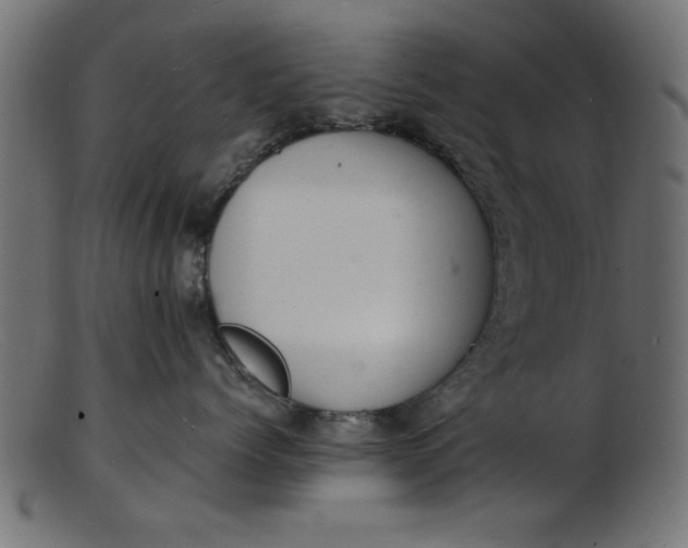 X0000103240768200809111556