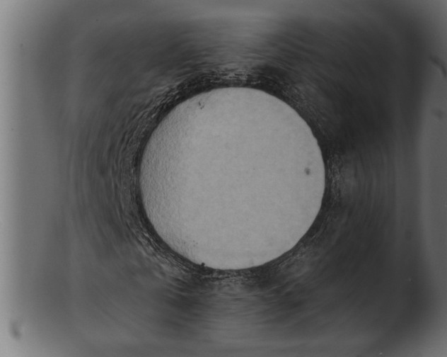 X0000103240769200809111556