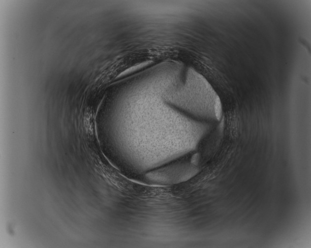 X0000103240770200809111556