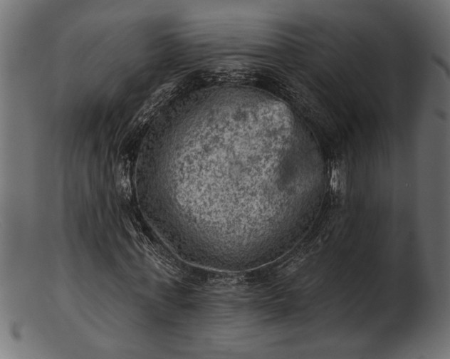 X0000103240771200809111556