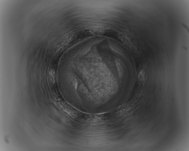 X0000103240772200809111556