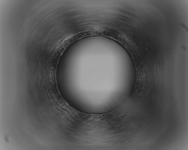 X0000103240773200809111556